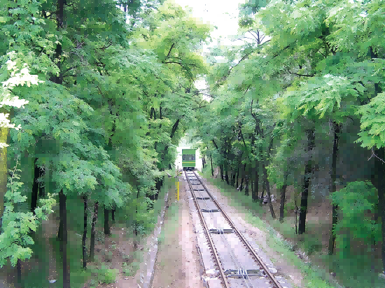 第21页-51(1).png
